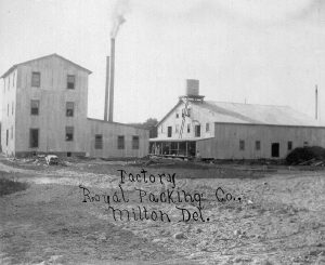 They Royal Packing Co. cannery, another of N. W. White's ventures, ca. 1907
