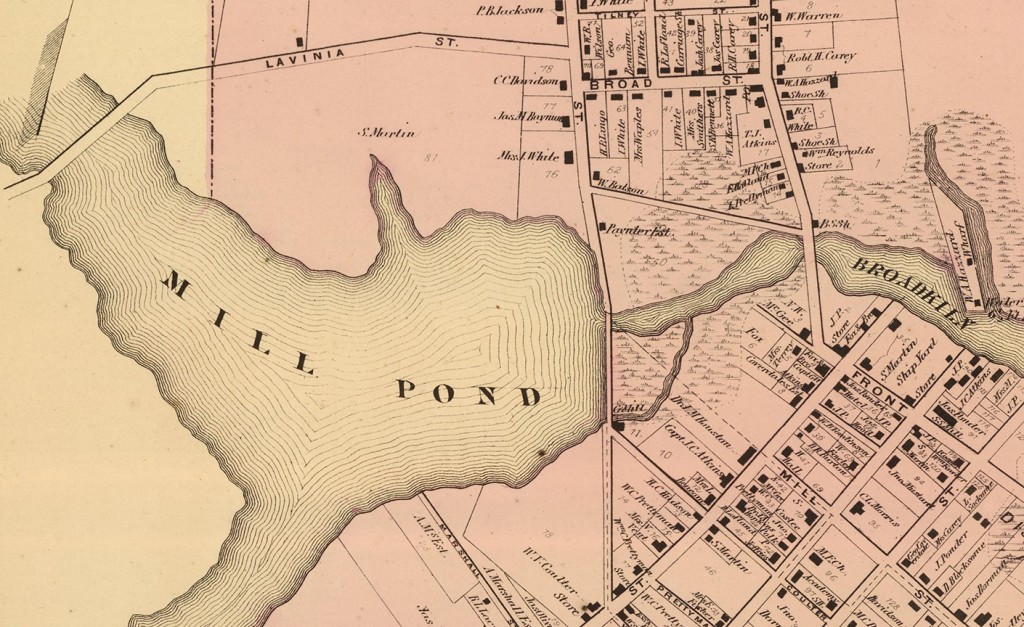 Detail of mill area, Milton, 1868