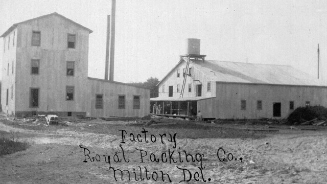 They Royal Packing Co. cannery, another of N. W. White's ventures, ca. 1907