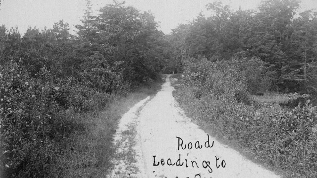Road leading to Lavina Woods camp, ca 1910